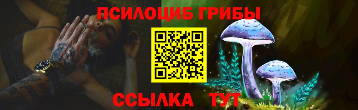 Осинники  Псилоцибиновые грибы Psilocybine cubensis  Вход с VPN  Псилоцибиновые грибы Magic Shrooms 